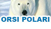 Giochi di orsi polari